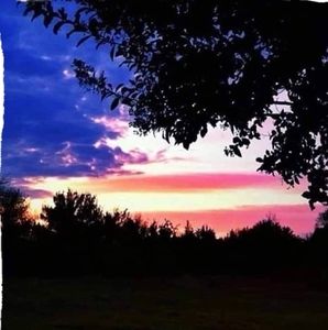 Meet your Posher, Shelley